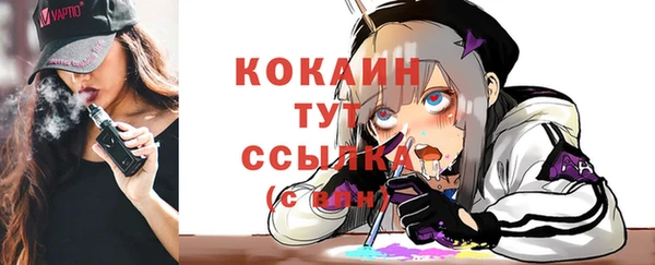 ПСИЛОЦИБИНОВЫЕ ГРИБЫ Абаза